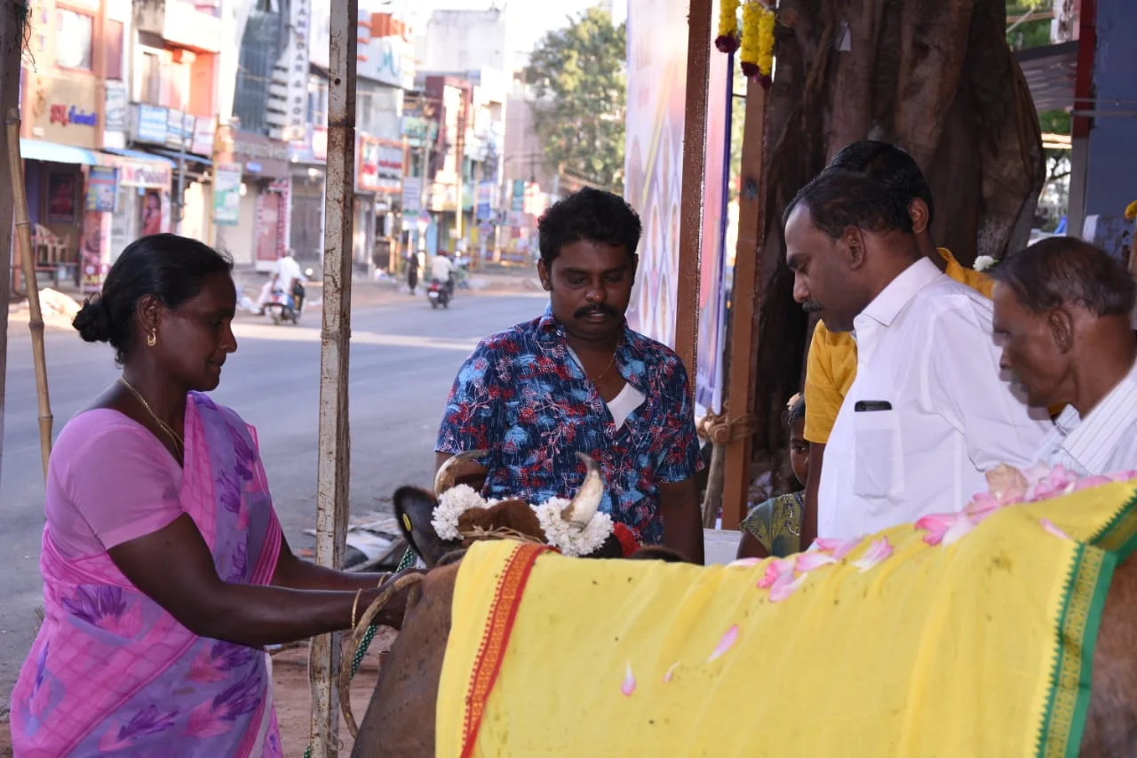 Selvi Silver Palace Gallery Image 29